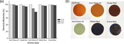 Rapid And Efficient Removal Of Anionic Dye In Water Using A Chitosan