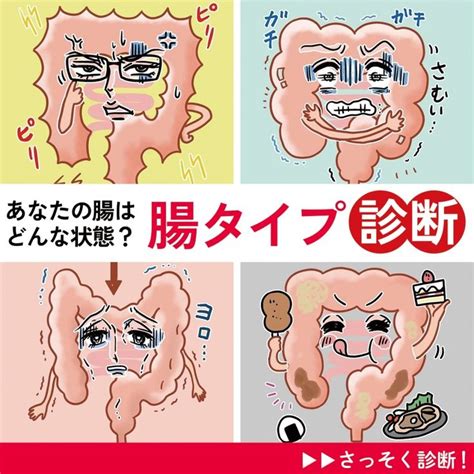 腸タイプ診断｜あなたの腸はどんな状態？ 腸内環境を改善して美腸を目指そう マキアオンラインmaquia Online Health