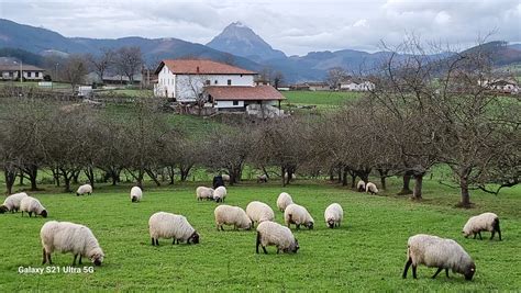 Arratsaldean Hodeiak Argiguneakin O Atitik Udalaitz Eitb Eus Flickr