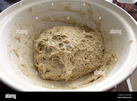 how to know when dough is done rising