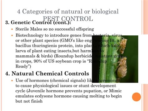 Ppt Chapter 16 Pests And Pest Control Powerpoint Presentation Free Download Id 6706408