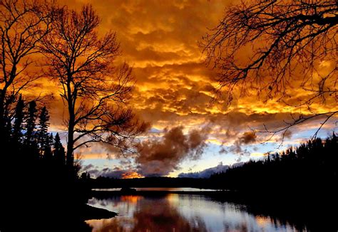 Fotos Gratis Paisaje Rbol Naturaleza Nube Cielo Amanecer