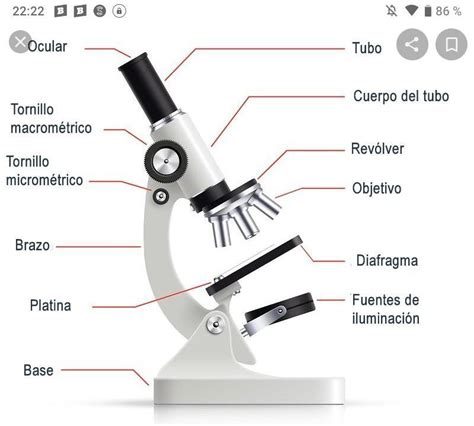 Me Pueden Ayudar Dibujar Un Microscopio Medicando Sus Partes Y