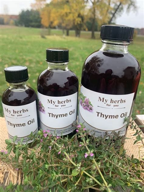 11 Essential Oils To Repel Spiders Castor Oil Guide