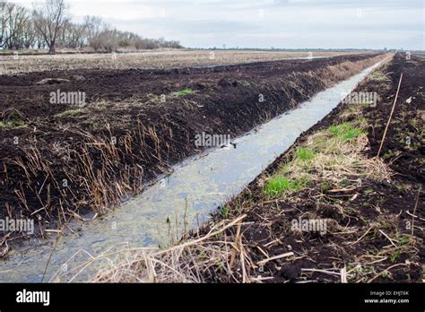 Fenland Drainage Ditch With Very Dark Soil And Fields Stock Photo Alamy