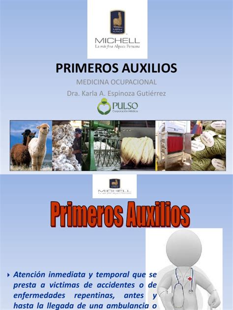 Primeros Auxilios 2017 Pdf Reanimación Cardiopulmonar Primeros