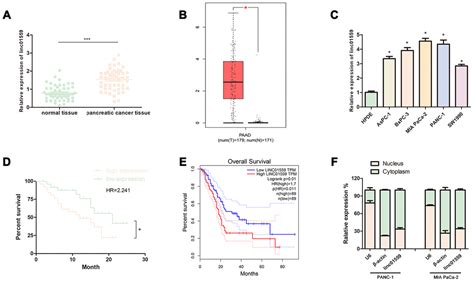 Long Noncoding Rna Linc Promotes Pancreatic Cancer Progression By