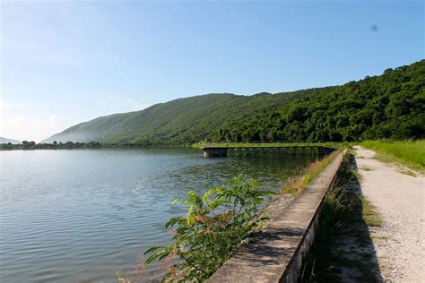 Mona Reservoir Jamaica Flemings Bond