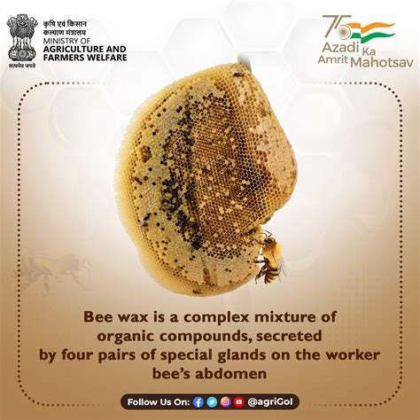 Indian Council Of Agricultural Research On Twitter Beeswax Is A