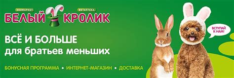 Зоомагазин «Белый Кролик» | Сеть магазинов зоотоваров «Белый Кролик ...