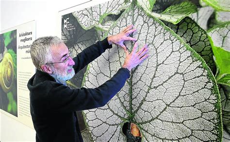 La Geometria En La Naturaleza Open AI Lab