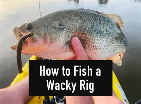 How To Fish A Wacky Rig Easiest Rig Ever Tilt Fishing