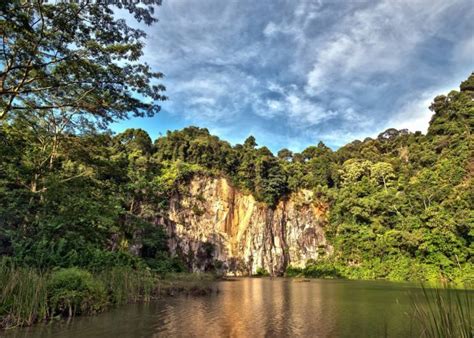 7 Hiking Trails Around Bukit Timah Nature Reserve