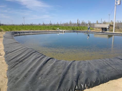 TRABAJA SEPADA EN PROYECTOS PARA LA CONSERVACIÓN DEL AGUA SECRETARÍA