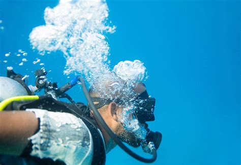 Tauchen In Dubai Eröffnet Faszinierende Unterwasserwelten Momondo