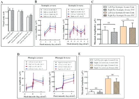 The Function Of The Retina Is Not Compromised After A Single Bolus