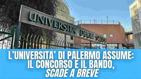 Assunzioni All Universit Di Palermo I Requisiti E Le Figure Richieste