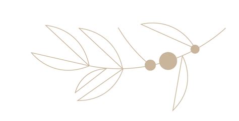 פעילויות – אוליאה – Olea