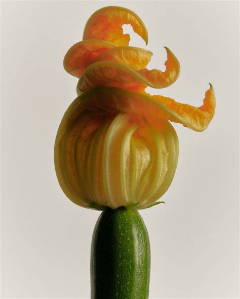 Restaurant blooms - The Dolder Grand