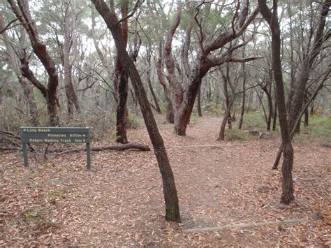 The Pinnacles Loop Walking Track