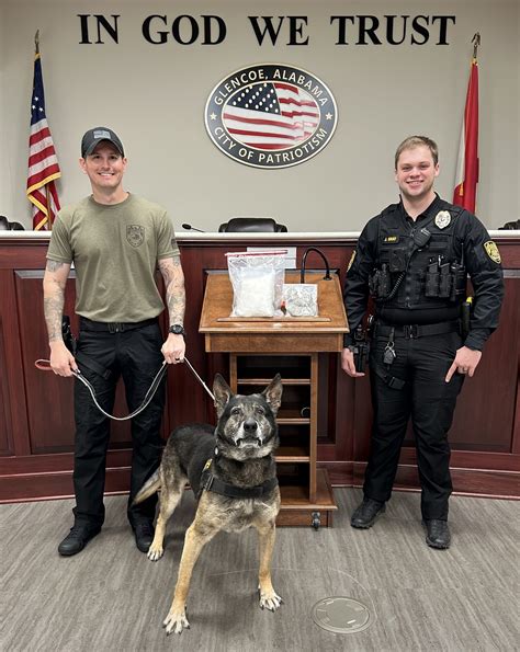 FOR IMMEDIATE RELEASE City of... - Glencoe Police Department | Facebook