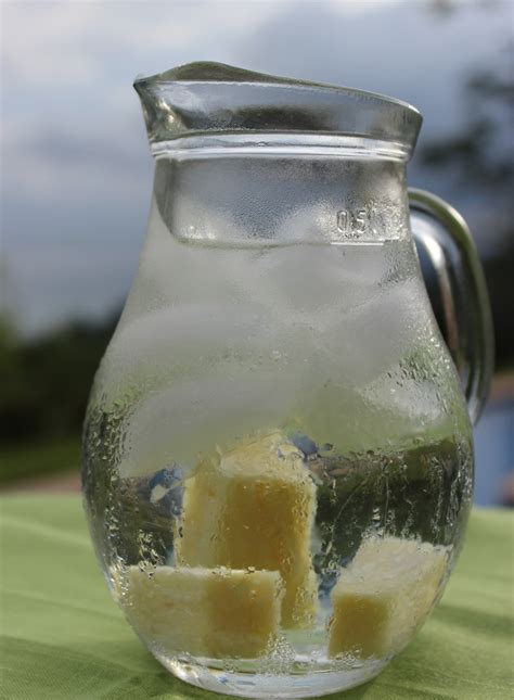 pineapple water recipe foodcom