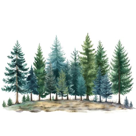 Green Pine Fir Trees Isolated on White Background | Premium AI