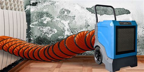 Will A Dehumidifier Dry Out Damp Walls Preair