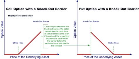 Exotic Options An Illustrated Overview