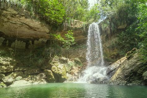 Waterfall in Gozalandia stock image. Image of jungle - 69651433