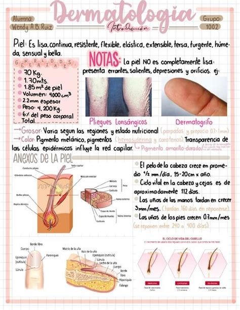 Introducción a Dermatología Medi napsisW uDocz