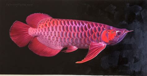 Red Dragon Fish High Quality Hand Painted Original Oil Painting