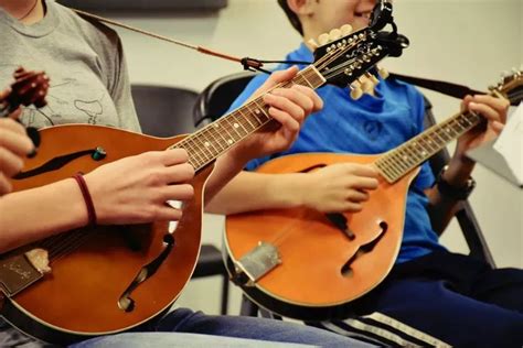 Mandolin Vs Banjo Which One Is Easier To Play