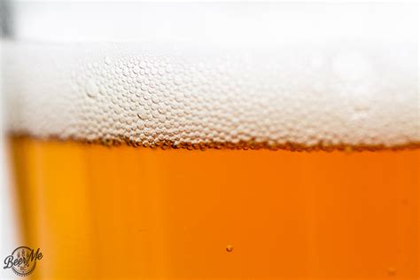 Trading Post Brewing Belgian Style Blonde Ale Beer Me British Columbia