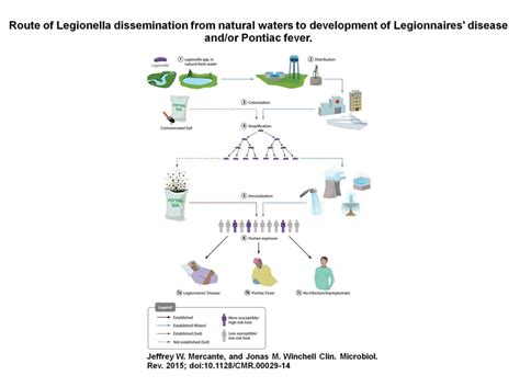 Tips On Legionella Control Ecoprocess Engineering Ltd