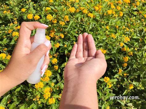 Como Hacer Gel Antibacterial Casero F Cil Y R Pido Vero Hoy