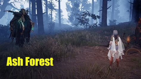 Lumbering Ash Forest Rotation Black Desert Online Youtube