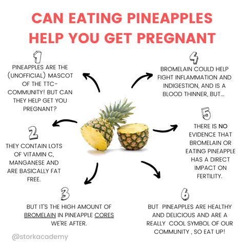 When To Eat Pineapple For Implantation A Guide To Boosting Fertility