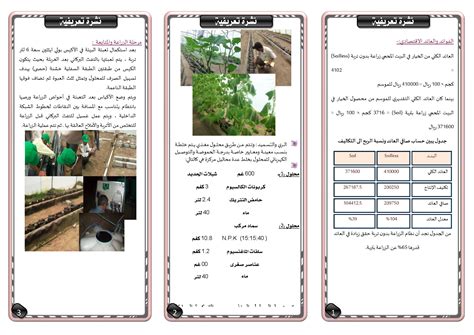 الزراعة بدون تربة الهيئة العامة للبحوث والارشاد الزراعي