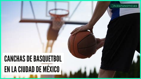 Descubrir 98 Imagen Como Son Las Canchas De Basquetbol Abzlocal Mx