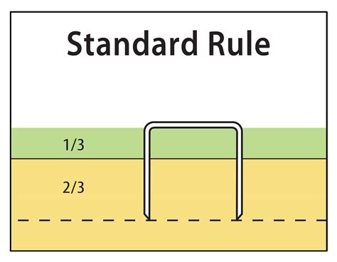 How To Determine The Correct Staple Leg Length Encore Fasteners