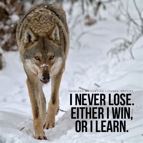 20 Strong Wolf Quotes To Pump You Up Wolves And Wolfpack Quotes