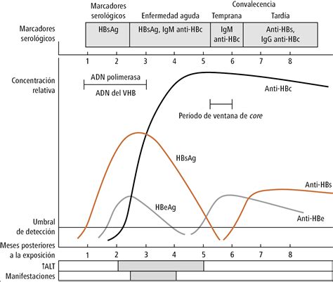 Hepatitis B Aguda Hepatitis B Y D Aguda Hepatitis Viral Aguda