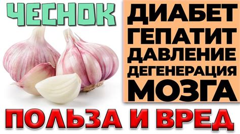 ЧЕСНОК - ВРЕД И ПОЛЬЗА (САМЫЙ ПОЛЕЗНЫЙ ОВОЩ) - YouTube