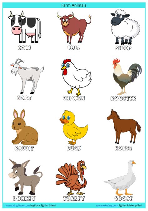 Farm Animals ingilizce Çiftlik Hayvanları Kingilizce