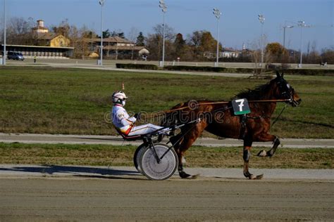 Racing Horses Trots On The Track Of Stadium Trotting Horse Racing