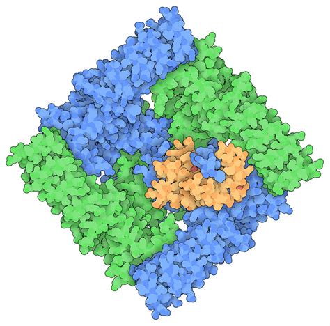 Pdb Molecule Of The Month Capsaicin Receptor Trpv