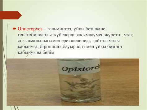 Описторхоз. Этиологиясы - презентация онлайн