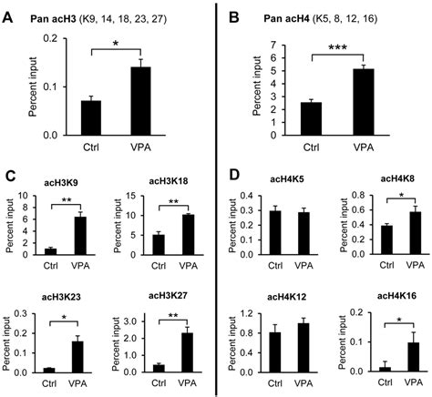 Figure 1 From Role Of Histone Acetylation In The Stimulatory Effect Of