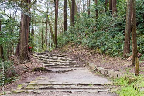 Azuchi Castle Ruins in Omihachiman, Shiga, Japan. Azuchi Castle was one of the primary castles ...